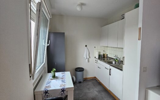 Appartement d’une pièce au 4ème étage à Ecublens