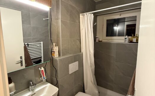 Appartement de 1 pièce au 5ème étage avec balcon à Lausanne