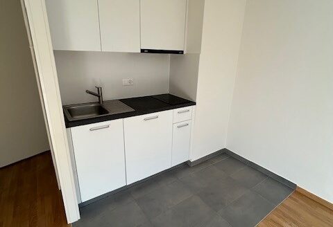 Appartement de 1 pièce au niveau -3 à Lausanne