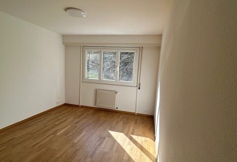 Appartement de 1 pièce au niveau -4 à Lausanne