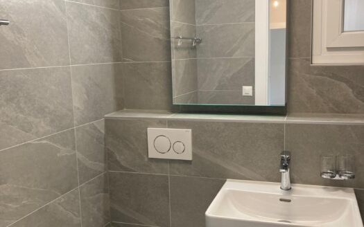 Magnifique appartement de 2,5 pièces rénové avec jardin au cœur du village
