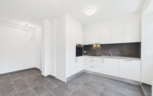 Magnifique appartement de 2,5 pièces rénové avec jardin au cœur du village