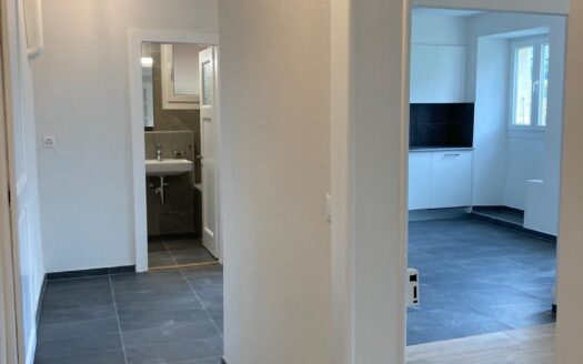 Magnifique appartement de 2,5 pièces rénové avec jardin au cœur du village