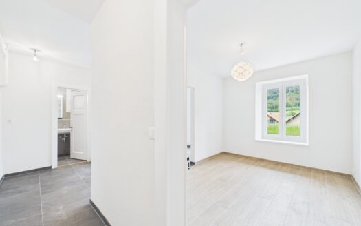 Magnifique appartement de 2,5 pièces rénové avec jardin au cœur du village