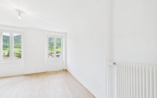 Superbe 4,5 pièces rénové avec balcon plein sud